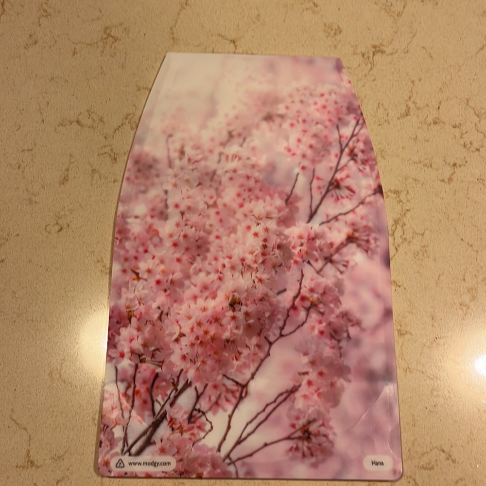 MODGY Expandable Flower Vase Hana - Picture 4 of 5